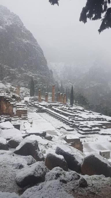 Appartamento 'Ηδιστον,Delfi Esterno foto